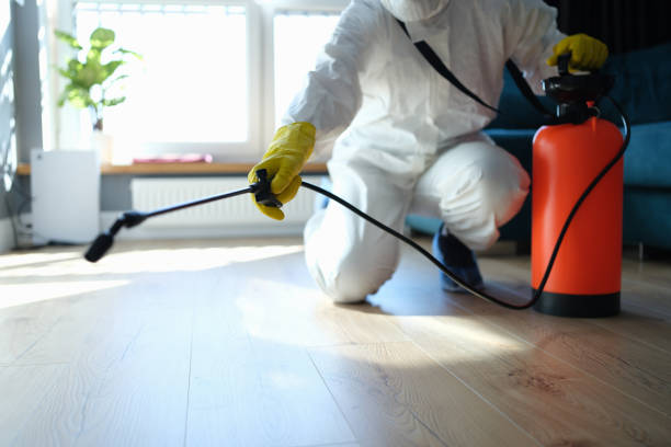 Reliable Biohazard contractor in El Granada, CA by Trauma Clean Pros